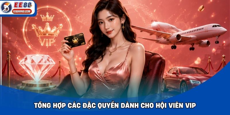 Tổng hợp các đặc quyền dành cho hội viên VIP